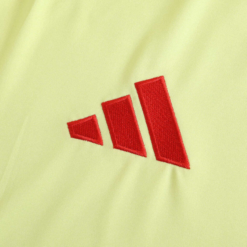 Camiseta de la selección española visitante II - Camiseta de aficionado para hombre 2024/25 - Amarilla