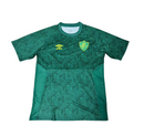 Camiseta de entrenamiento para aficionado del Fluminense 24/25 para hombre - Verde
