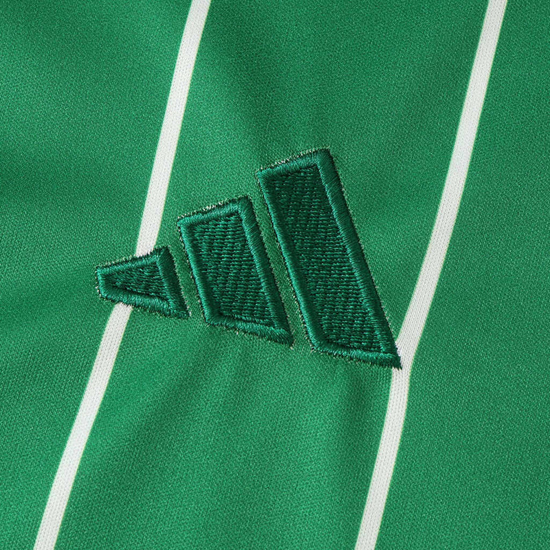 Camiseta de fanático Celtic Irish Origins Special 24/25 para hombre - Verde