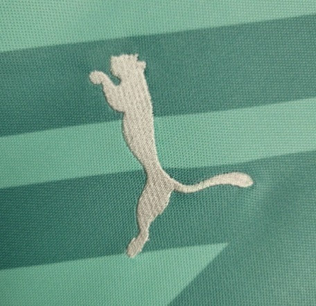 Camiseta de entrenamiento para aficionado Palmeiras 24/25 para hombre - Verde