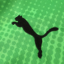 Camiseta de portero de Portugal 25/26 (local) - Verde