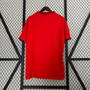 Camiseta local de la selección españa 2010 para hombre - Camiseta de aficionado
