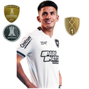 Camiseta hincha Botafogo Terceira Tercera III 24/25 Hombre Blanco