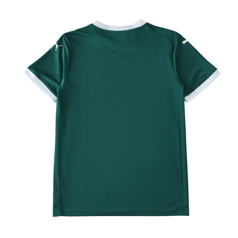 Camiseta de local del Palmeiras 2025/26 para hombre - Verde