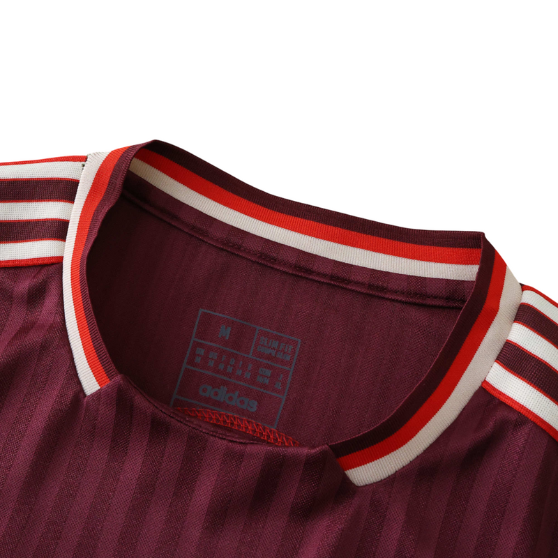 Camiseta de jugador del Bayern Múnich Colección Iconos 25/26 - Borgoña