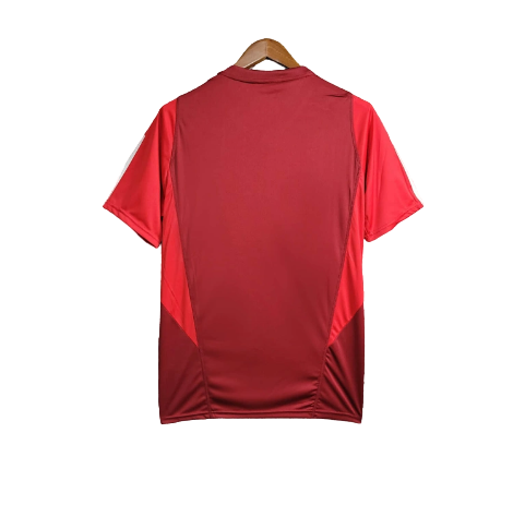 Camiseta de entrenamiento internacional para hombre 24/25 Supporter - Borgoña