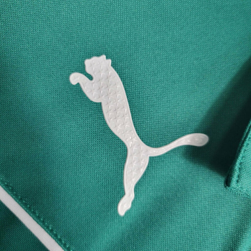 Camiseta Abel del Palmeiras - Automotriz 23/24 Puma Hombre - Verde