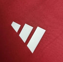 Camiseta de entrenamiento internacional para hombre 24/25 Supporter - Borgoña