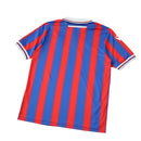 Camiseta Crystal Palace Conmemorativa 25/26 Hombre