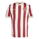 Camiseta conmemorativa de aficionado del Núremberg 2025/2026