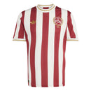 Camiseta Nürnberg Conmemorativa 2025/2026 Versión Aficionado