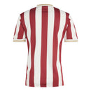 Camiseta conmemorativa de aficionado del Núremberg 2025/2026