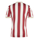 Camiseta Nürnberg Conmemorativa 2025/2026 Versión Aficionado