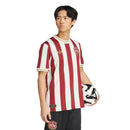 Camiseta conmemorativa de aficionado del Núremberg 2025/2026