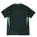 Camiseta Selección Argelia Visitante Copa del Mundo 2026 Versión Jugador Hombre - verde