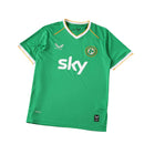 Camiseta de la selección nacional de Irlanda para la Copa Mundial de 2026 - Verde