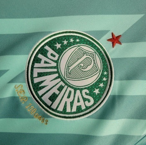 Camiseta de entrenamiento para aficionado Palmeiras 24/25 para hombre - Verde