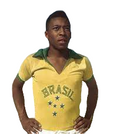 Camiseta retro de Brasil 1958 - Selección Nacional Masculina de Brasil - Amarilla