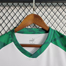 Camiseta de entrenamiento Puma Palmeiras 23/24 para hombre - Verde y blanco