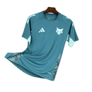 Camiseta de entrenamiento Cruzeiro 25/26 para hombre - Azul agua